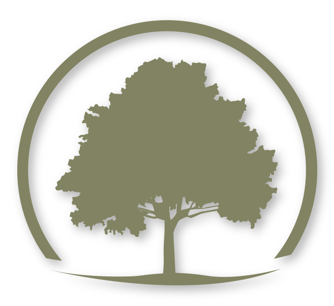 The tree in our Logo